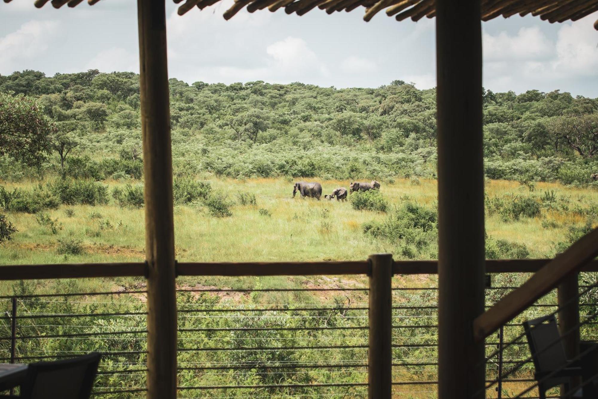 Mdluli Safari Lodge Hazyview Exteriör bild